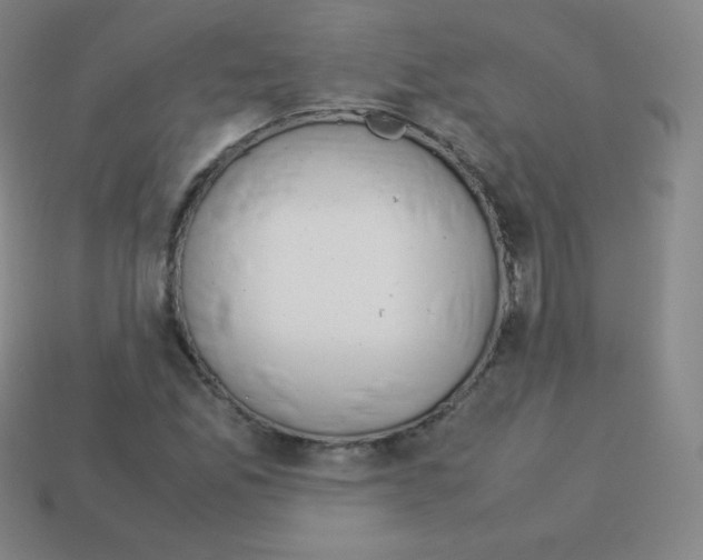 X0000113041165200910081205
