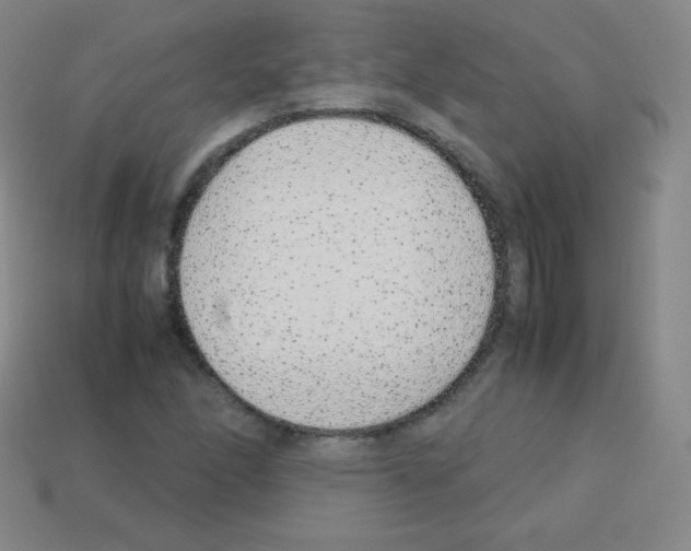 X0000113041166200910081205