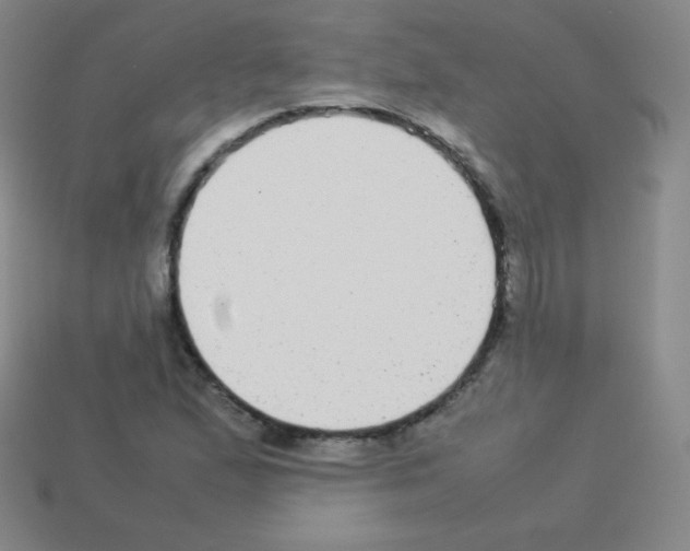 X0000113041167200910081205