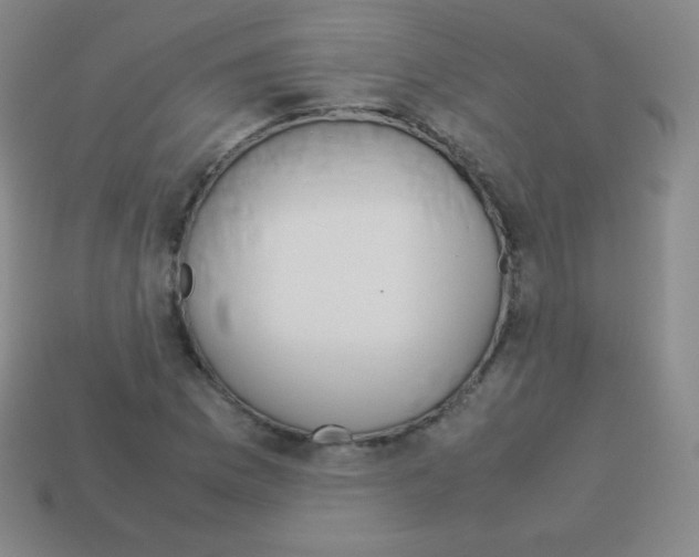 X0000113041169200910081205