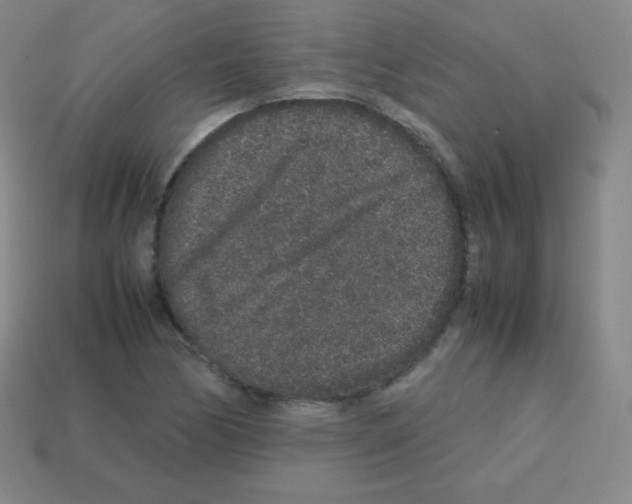 X0000113041170200910081205