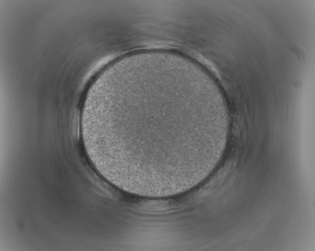 X0000113041171200910081205