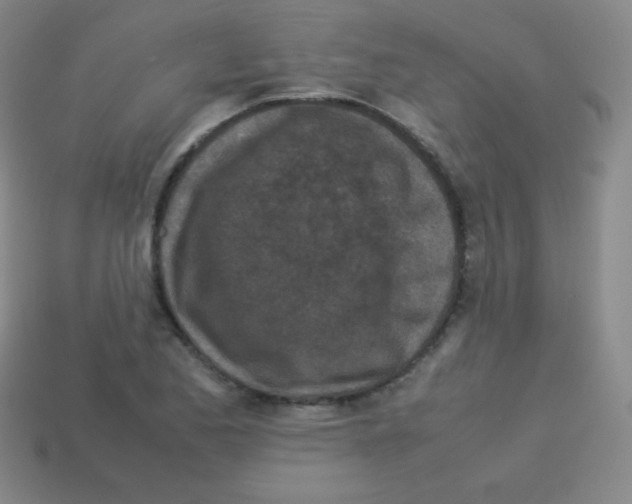 X0000113041173200910081205