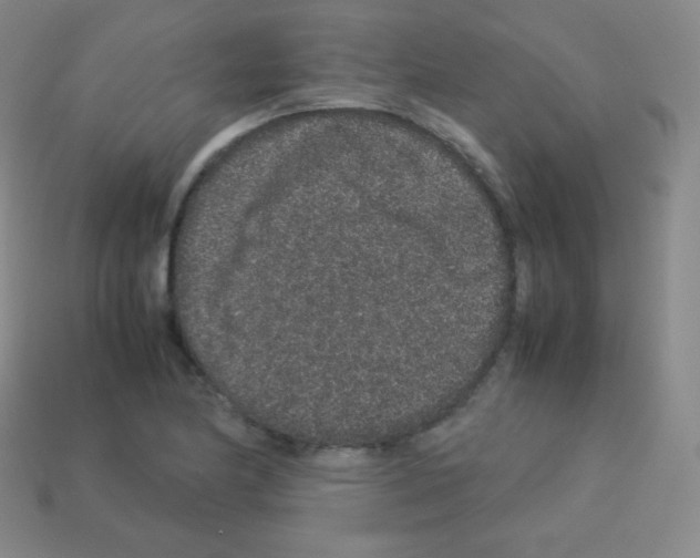 X0000113041174200910081205