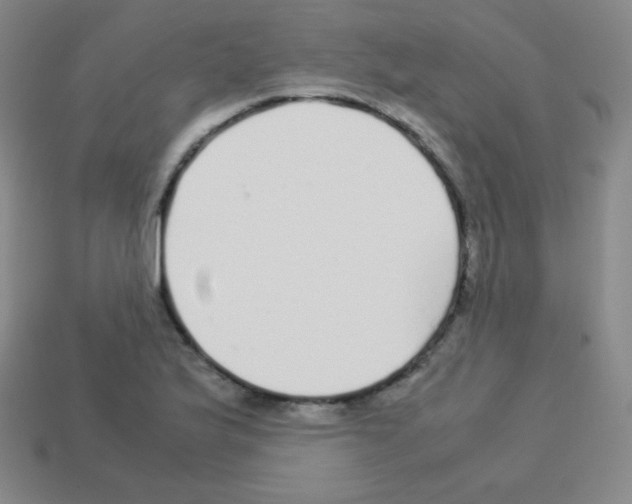 X0000113041175200910081205