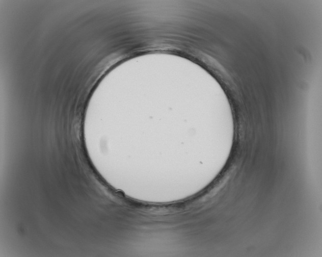X0000113041177200910081205