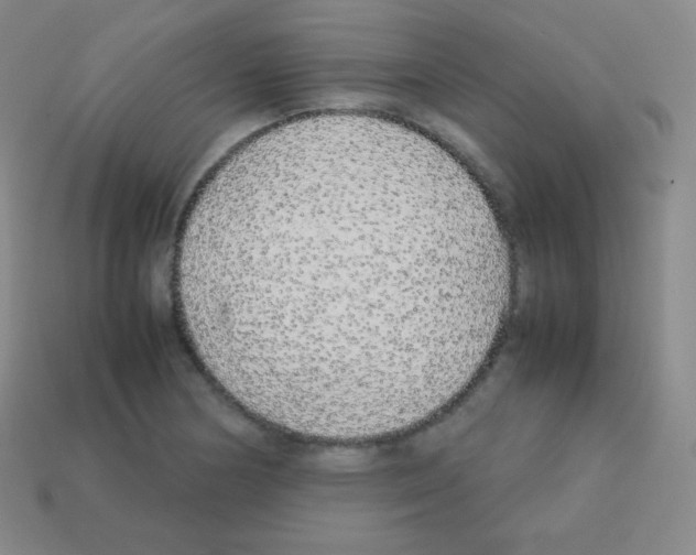 X0000113041178200910081205