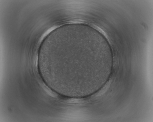 X0000113041179200910081205