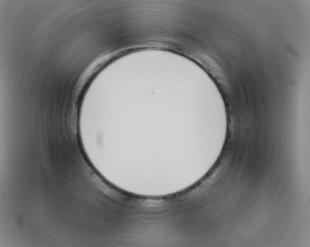 X0000113041180200910081205