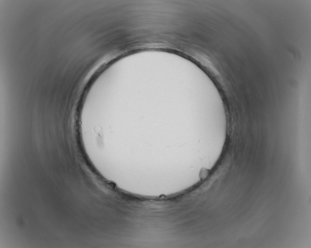 X0000113041181200910081205