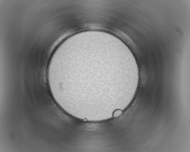 X0000113041182200910081205