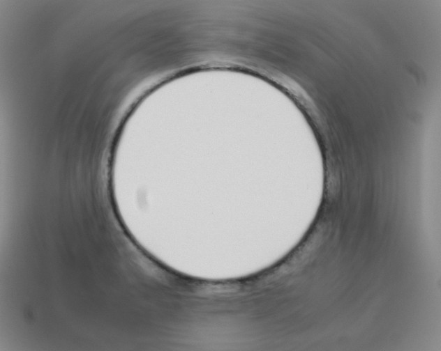 X0000113041183200910081205