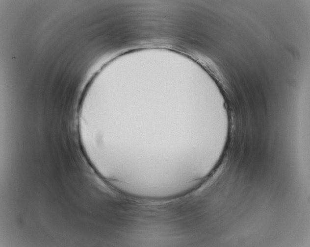 X0000113041184200910081205
