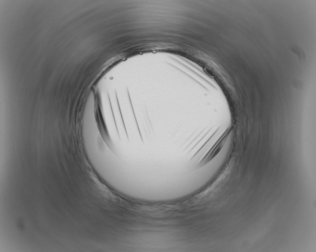 X0000113041185200910081205