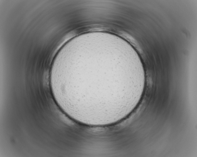 X0000113041186200910081205