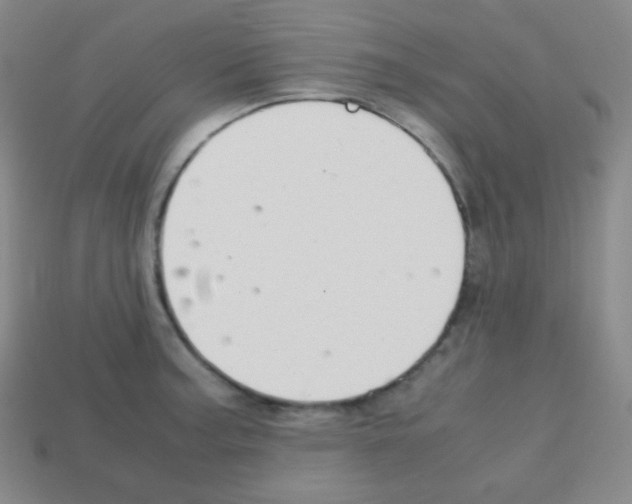 X0000113041187200910081205