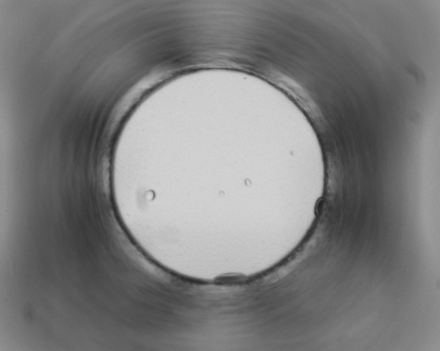 X0000113041188200910081205