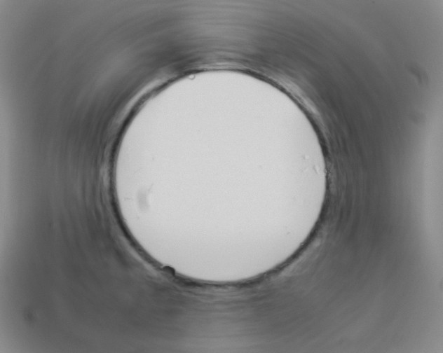 X0000113041189200910081205