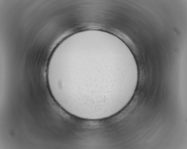 X0000113041190200910081205