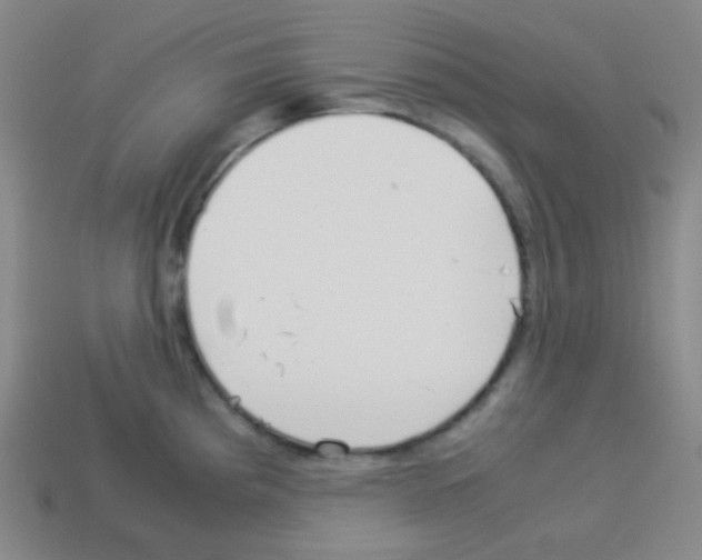 X0000113041193200910081205