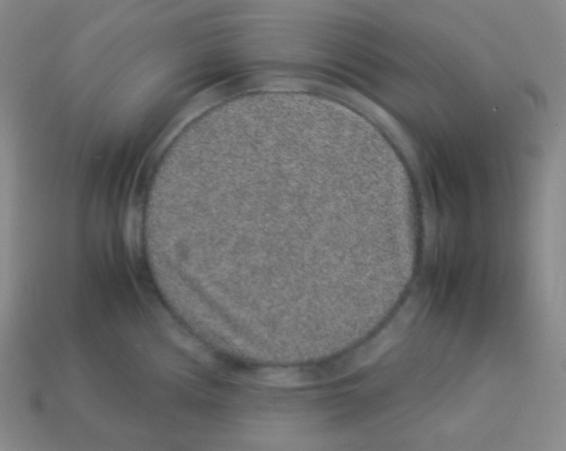 X0000113041194200910081205