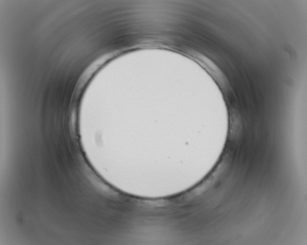 X0000113041196200910081204