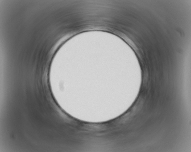 X0000113041197200910081204