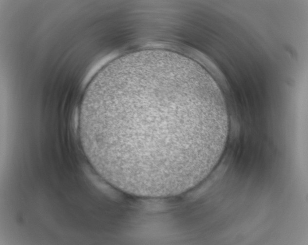 X0000113041198200910081204