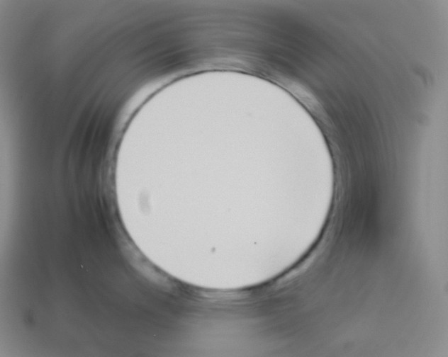 X0000113041200200910081204