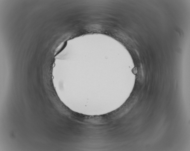 X0000113041201200910081204