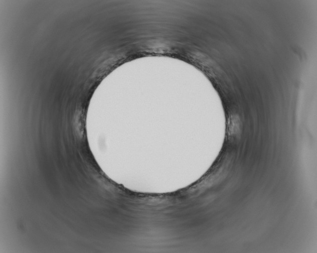 X0000113041202200910081204