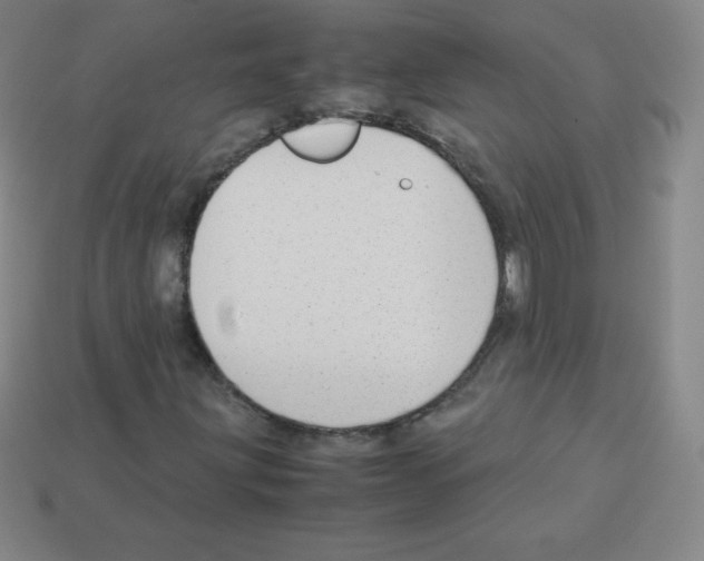 X0000113041203200910081204