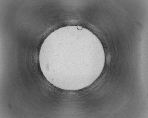 X0000113041204200910081204