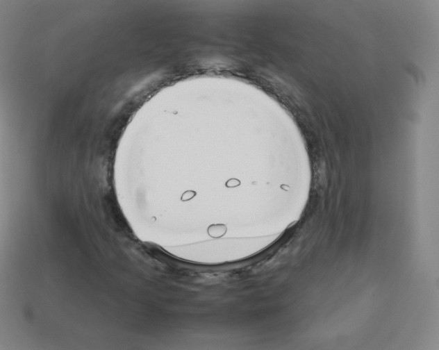 X0000113041205200910081204