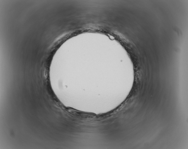 X0000113041206200910081204