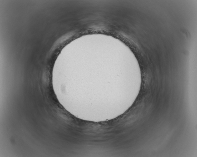 X0000113041207200910081204