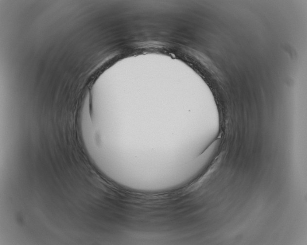 X0000113041209200910081204