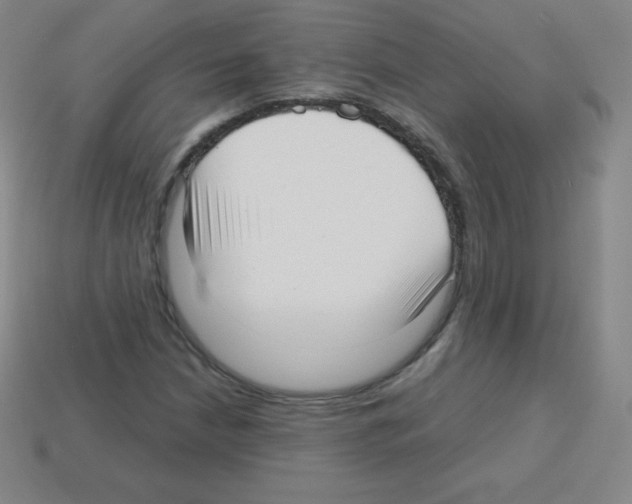 X0000113041210200910081204