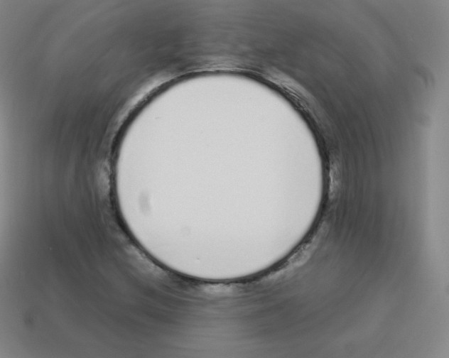 X0000113041212200910081204