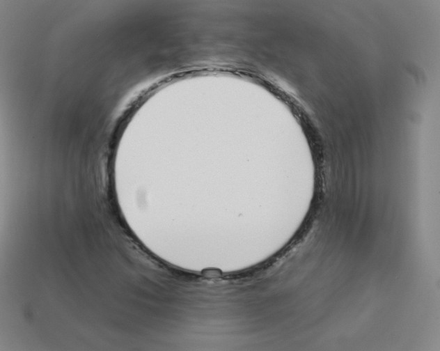X0000113041214200910081204