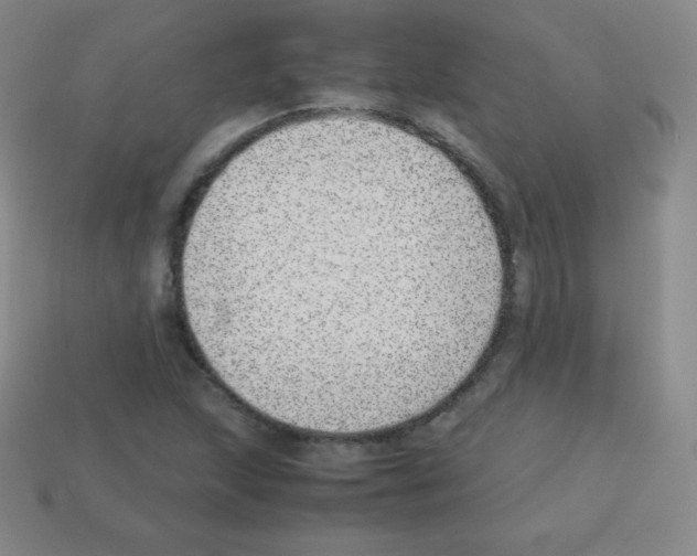 X0000113041215200910081204