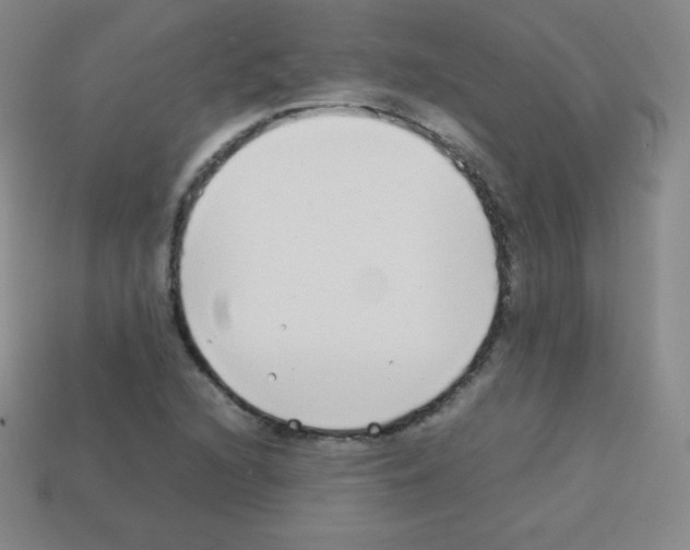 X0000113041216200910081204