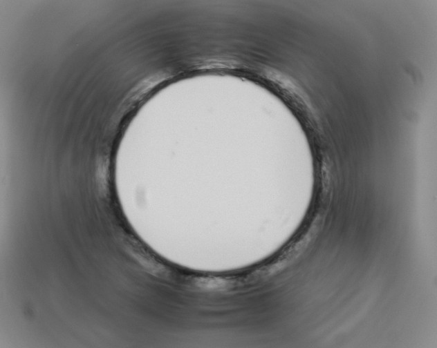 X0000113041217200910081204