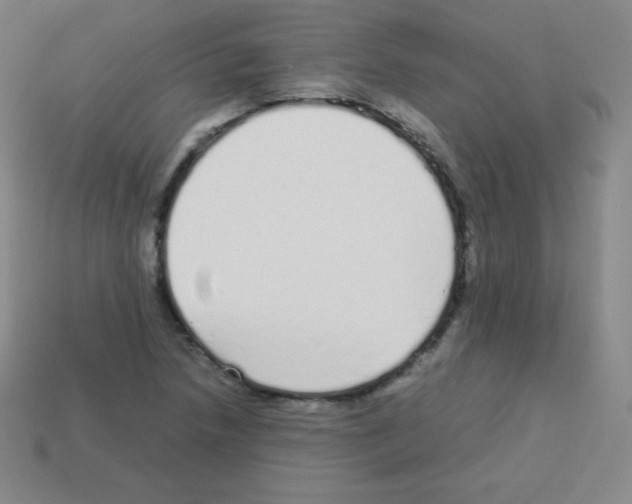 X0000113041218200910081204