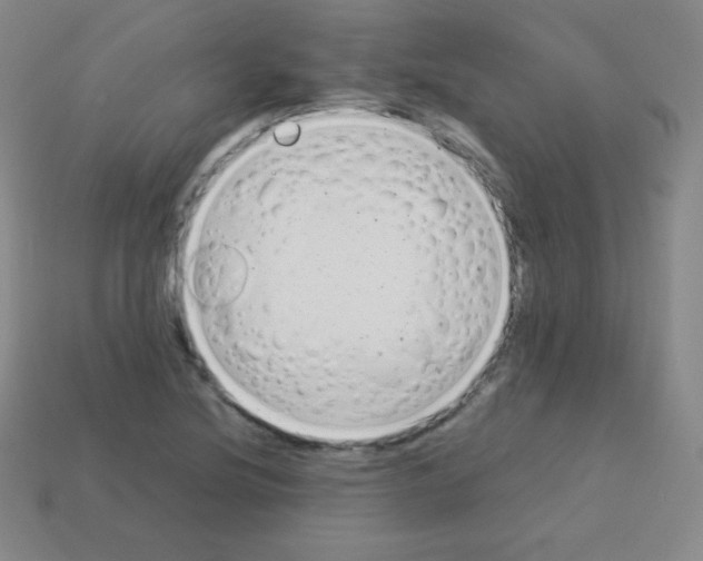 X0000113041220200910081204