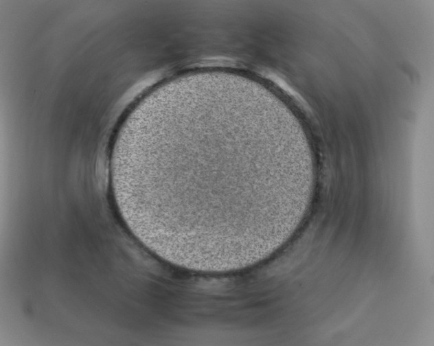 X0000113041221200910081204