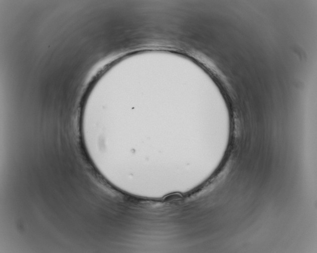 X0000113041222200910081204