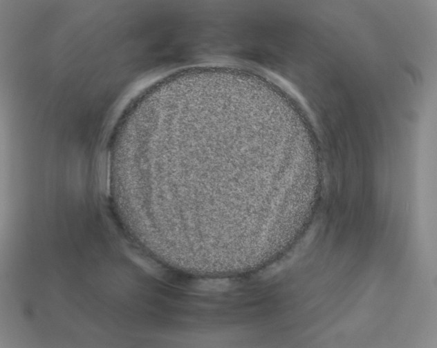 X0000113041223200910081204