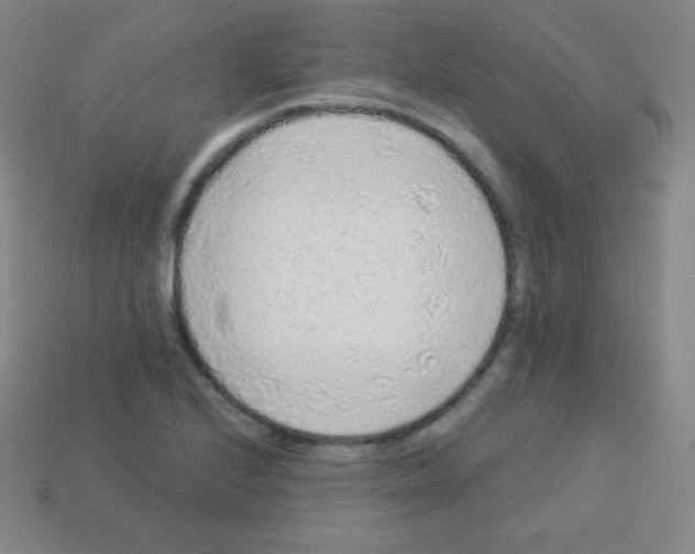 X0000113041224200910081204