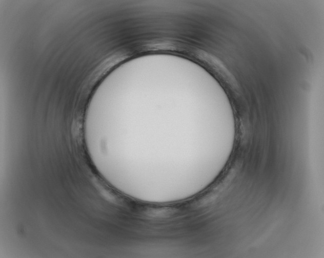 X0000113041225200910081204